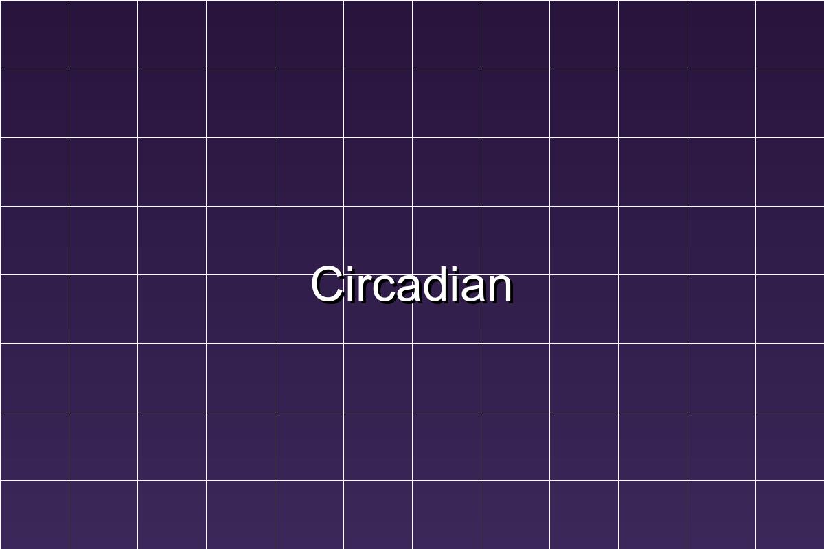 Circadiaan Ritme